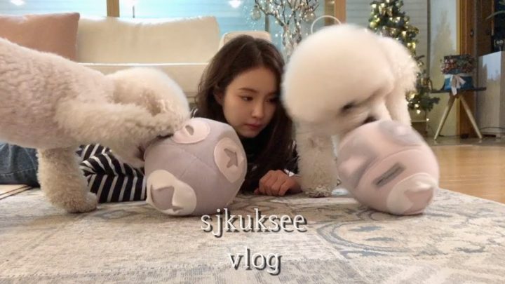 [SUB] 크리스마스 케이크 만들기. Making a Christmas cake.