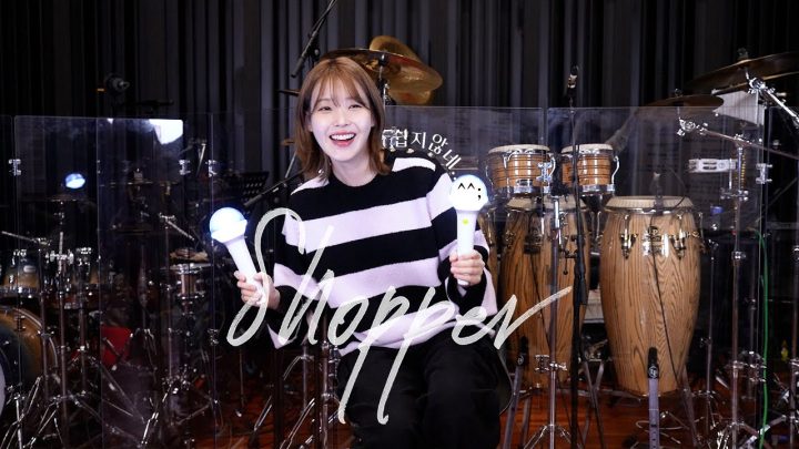 IU 'Shopper' 응원법🔎 (Fanchants Guide)