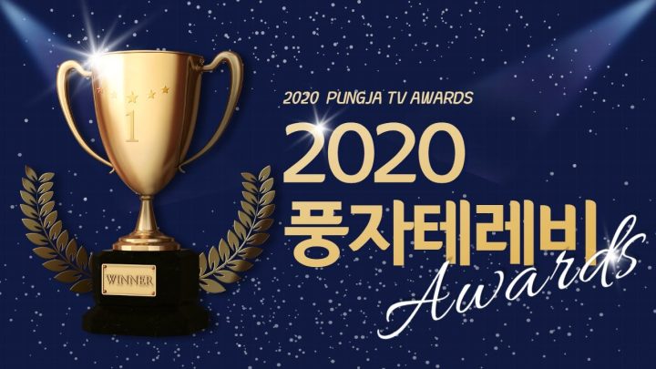 🏆2020년 풍자테레비 조회수TOP5 인기동영상/시청자 남녀비율/국가별 시청기록/총 조회수