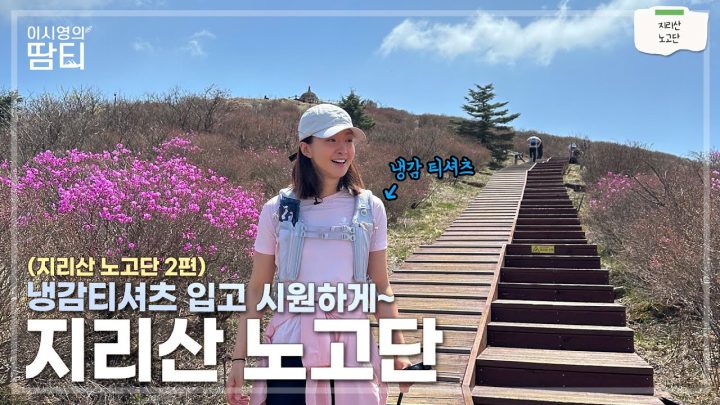 노고단 2편 | 아이스프레시 냉감 티셔츠 입고 시원하게 노고단 다녀왔어요! | 지리산 국립공원 | 성삼재휴게소 |