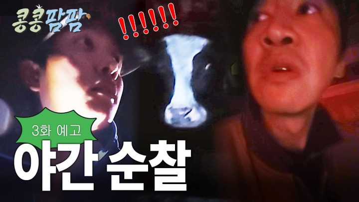 [3화 예고] 느슨해진 목장에 긴장감을 주는 야간 순찰🔦 밤의 목장에 숨겨진 비밀은? #콩콩팜팜 EP.3