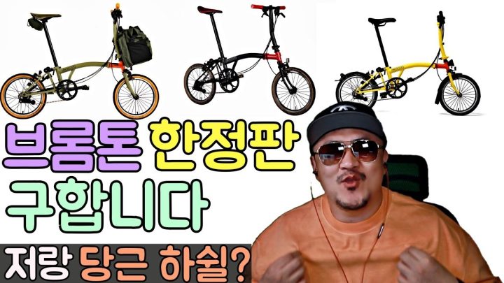 [데프콘] 긴급수배! (브롬톤 한정판을 구합니다!)혹시 저랑 당근 하쉴?