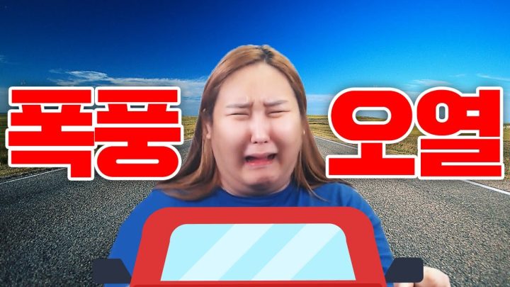 면허따자마자 고속도로 운전 한 썰