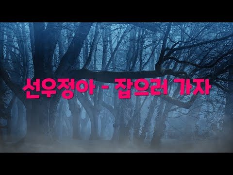 [한시간 듣기] 선우정아 - 잡으러 가자 (한 여름 무더위를 잊게할 만큼 오싹하고 서늘하게 만들어 줄 선우정아의 잡으러 갈래 | 1시간 연속 듣기)