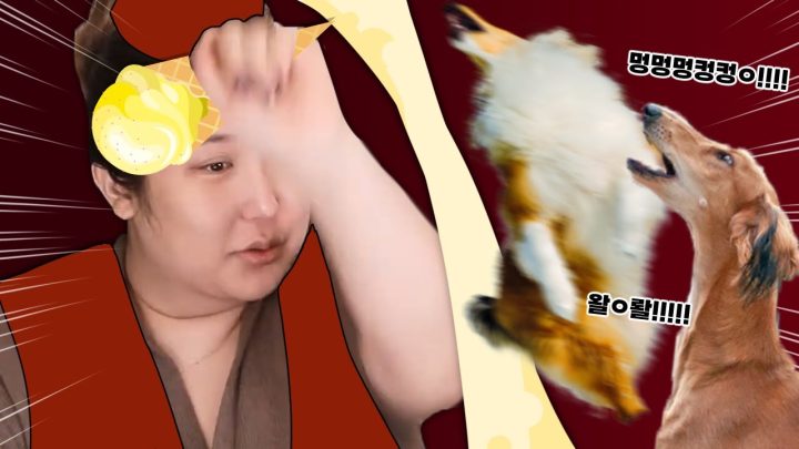 잡아야쥐~ 못 잡겠쥐~