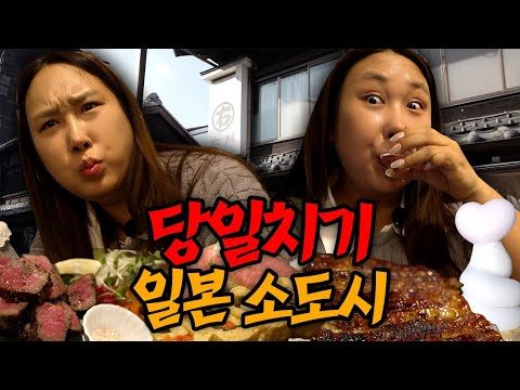 🇯🇵한국인 없는 일본 소도시 | 가와고에 | 고구마투어 200년장어덮밥 말고기이자카야 | 당일치기 일본여행