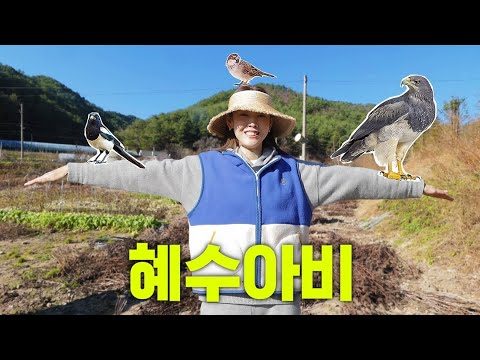!마주치면 피하세요! 홍천 별장 한가운데 나타난 거대한 여인의 정체｜통수육, 김장 김치, 솥뚜껑 요리 먹방 그리고 영상 편지