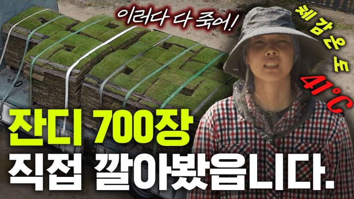 별장에 직접 잔디 시공하는 패션 모델