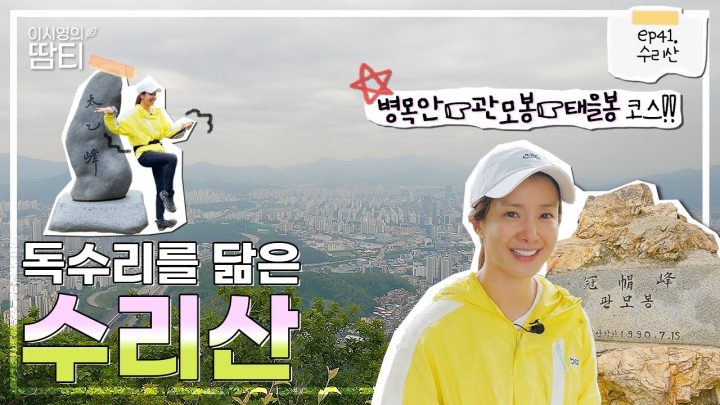 서울 근교에 접근성 좋은 짧고 굵은 수리산! 올여름 여러분들께 추천해요:)