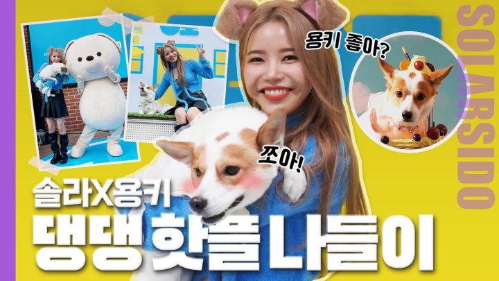 셀럽견의 하루는 바쁘다! with 오모오모하우스