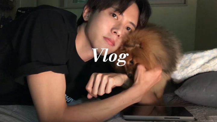 일상 vlog | 어벤져스, 고기먹방, 반려견, 주드로, 영화관🍿