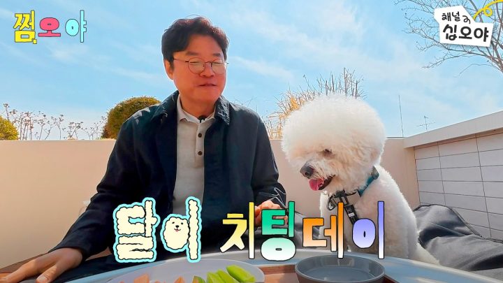 아무도 입터진 달이를 막을 순 없으셈 | 🌓쩜오야