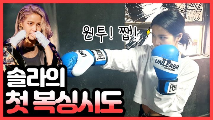 와......복싱이 이런 스포츠였군요???????