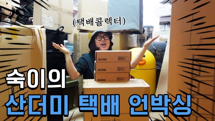 (ENG)6개월 동안 택배를 쌓아두는 사람이 있다? 택배콜렉터의 언박싱📦