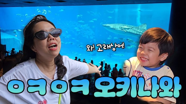 오키나와는 누가 가자고 했나