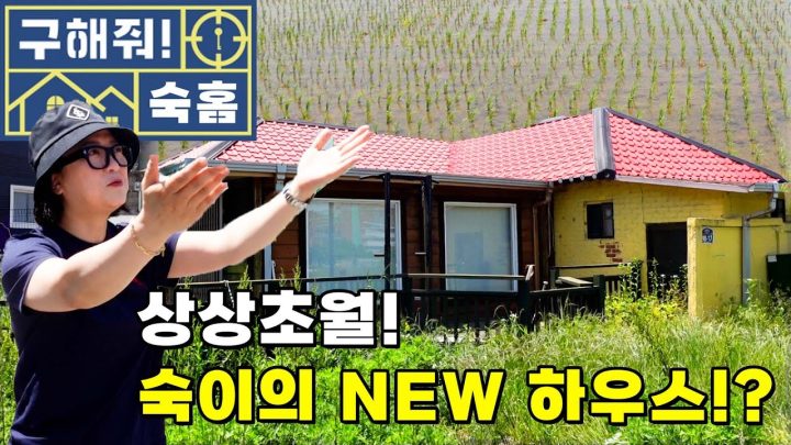 [구해줘 숙홈] 덕팀장 김숙의 NEW! 보금자리 찾기 프로젝트