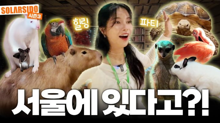 겨울에 귀여운 동물들 보실 분~